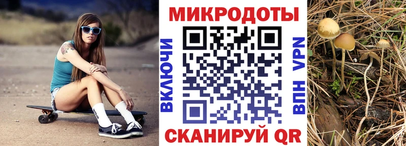 закладка  Иркутск  Галлюциногенные грибы мухоморы 