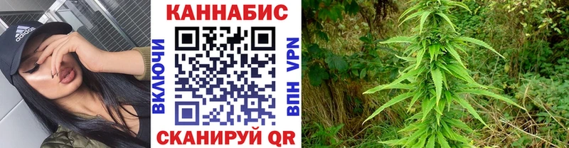 kraken ТОР  Иркутск  Шишки марихуана конопля 